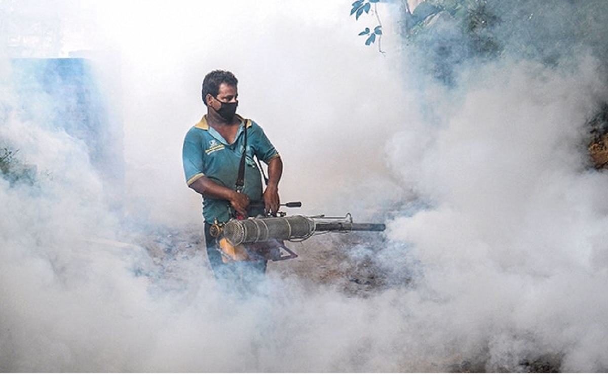 305 dengue cases in Mumbai so far this year; 85 in September