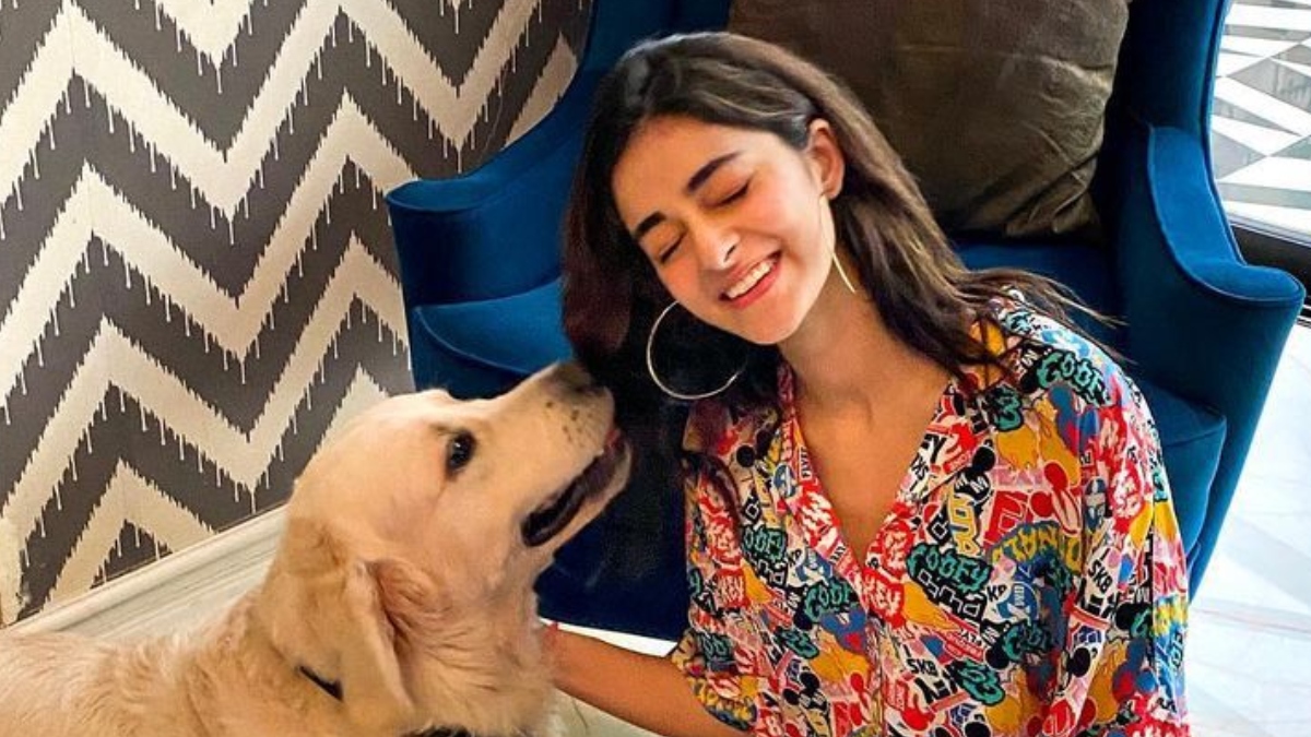 Happy Birthday Ananya Panday: Times when actress' pictures with her ...