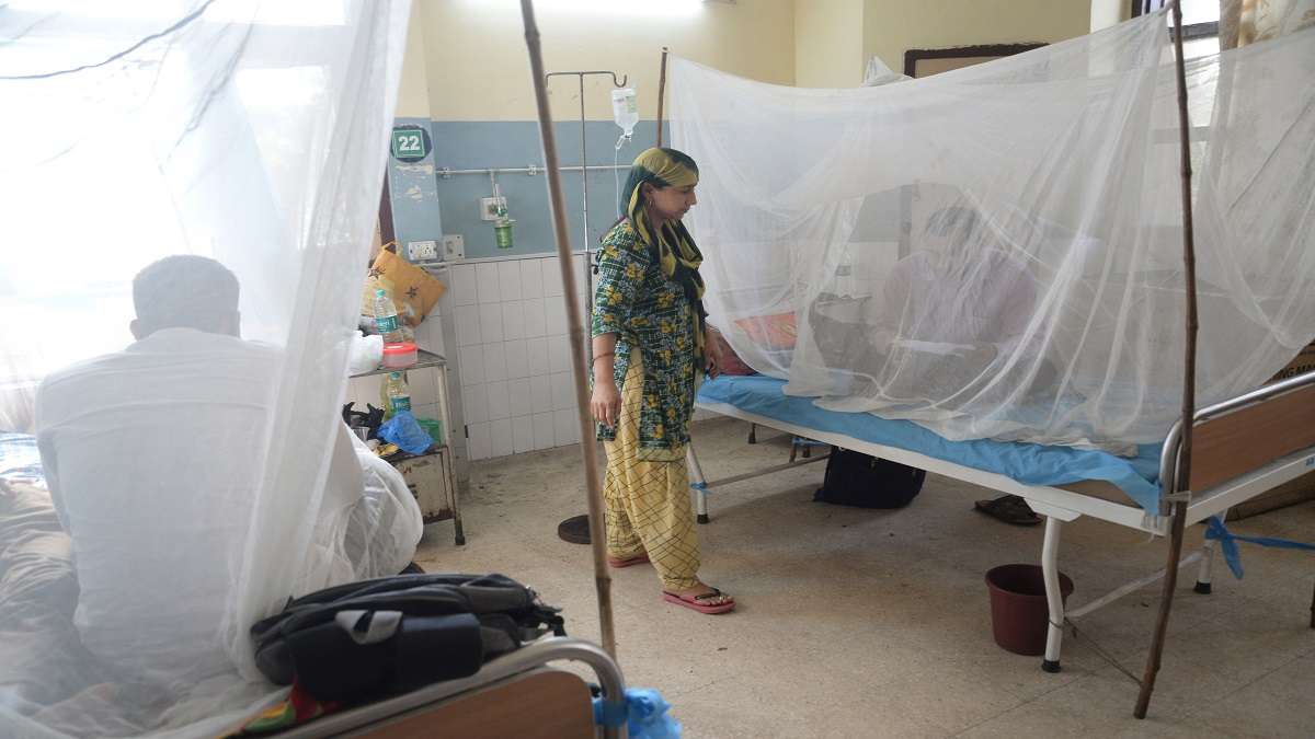 Pakistan Hospitals Run Out Of Beds On Dengue Surge – India Tv