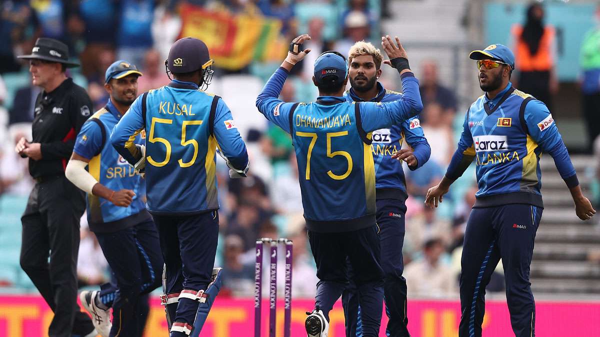 Why Sri Lanka Cricket Team's official World Cup Jersey having a Turtle  along with the Lion?