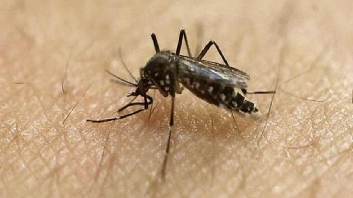 Family of Zika virus patient test negative in Uttar Pradesh's Kanpur