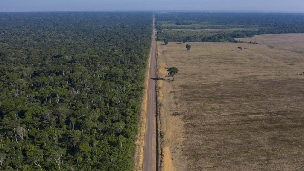 Brazil’s Amazon Deforestation Surges To Worst In 15 Years – India TV