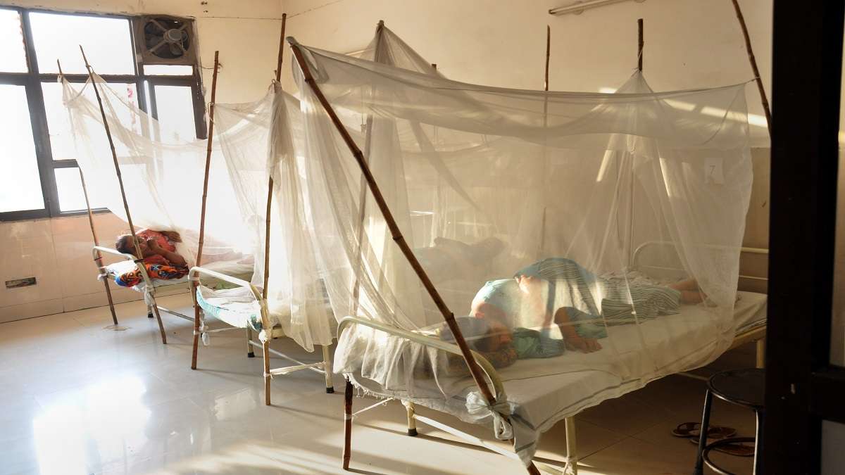 Dengue situation in Delhi worsened this year compared to 2020, says ...