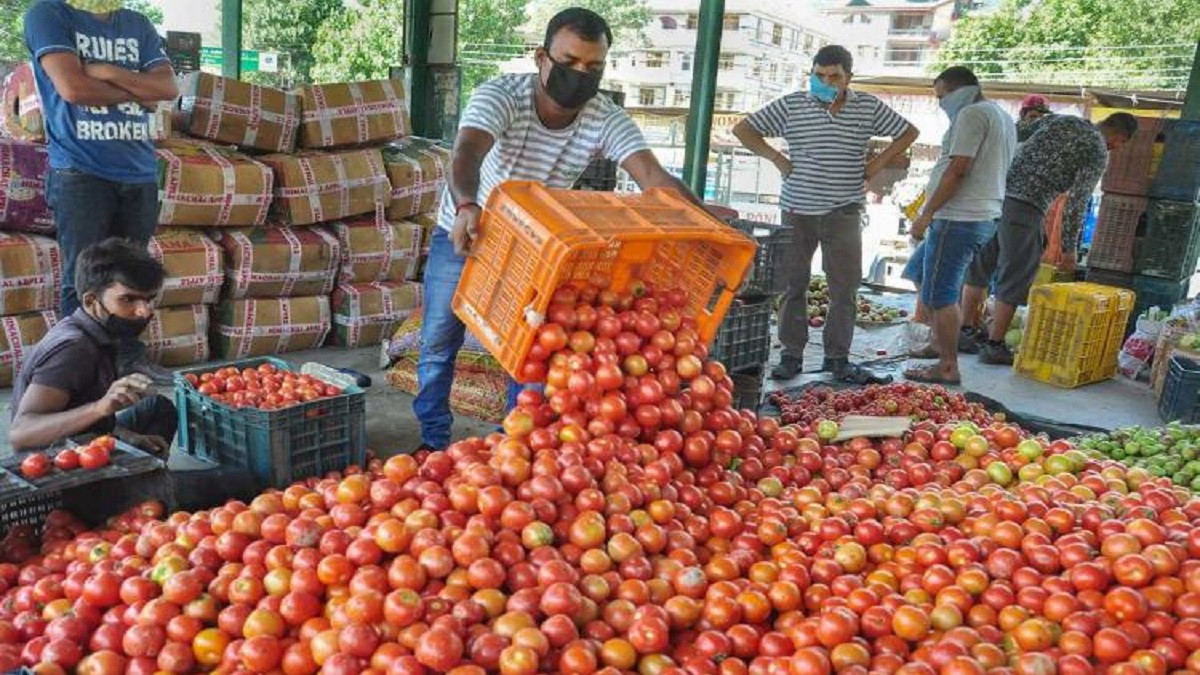 Tomato continues to make a hole in Aam Aadmi's pocket Rs 75/kg in