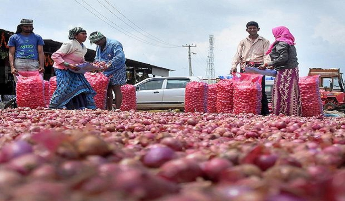 Onions bring tears to Maharashtra farmer who earns just Rs 13 after