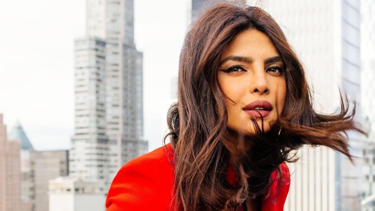 Priyanka Chopra blasts report referring to her as 'Nick Jonas' wife': Should I add IMdB link to my bio?