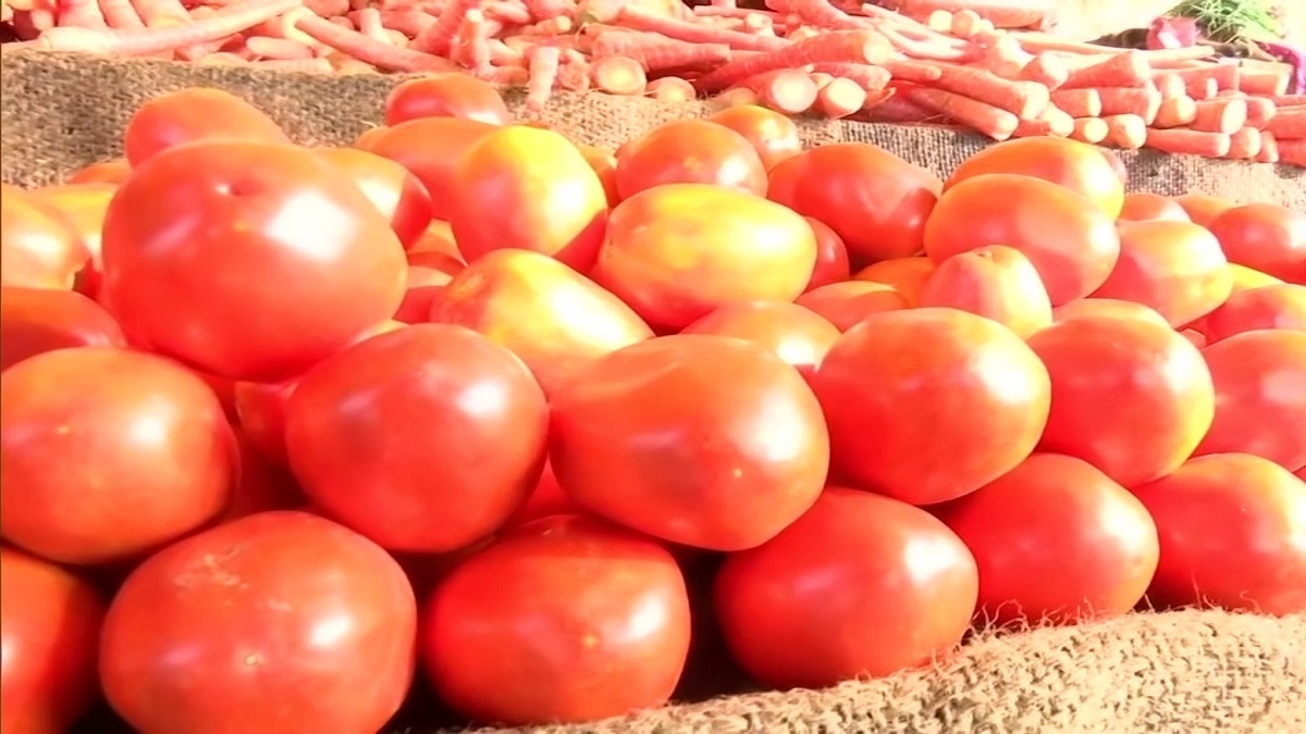 Tomato Prices Soar In Chennai; Now Being Sold At Rs 100 Per Kg – India Tv