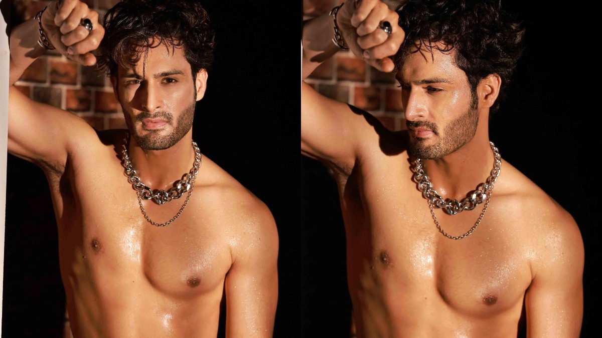 Kpde Fad Ke Kiya Gya Rep Sex - Bigg Boss 15 fame Umar Riaz's shirtless pics set internet ablaze, fans ask,  'Rashami wali chain kahan hai?' | Tv News â€“ India TV