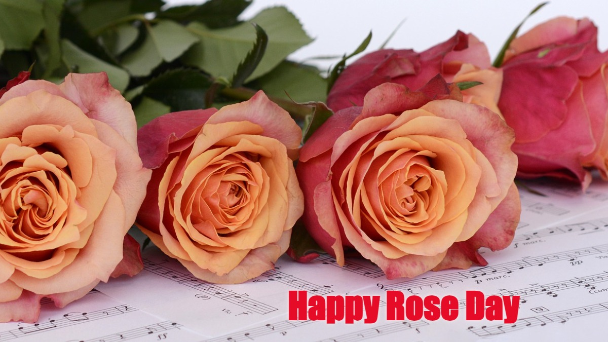 Happy Rose Day 2022: Wishes, Quotes, HD Images, Wallpapers, Greetings,  WhatsApp messages | Relationships News – India TV