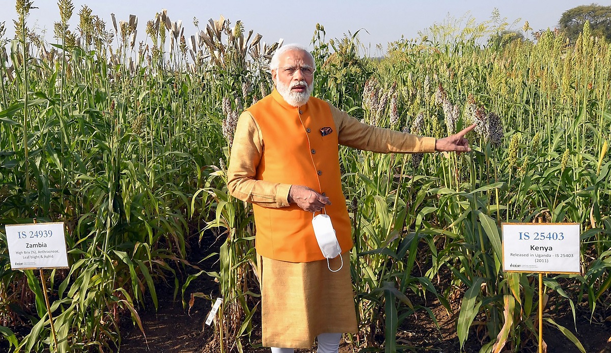 PM Modi tastes 'chana' directly from farm during his visit to Hyderabad's ICRISAT