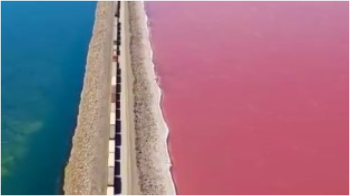 Why Are Some Lakes Pink?