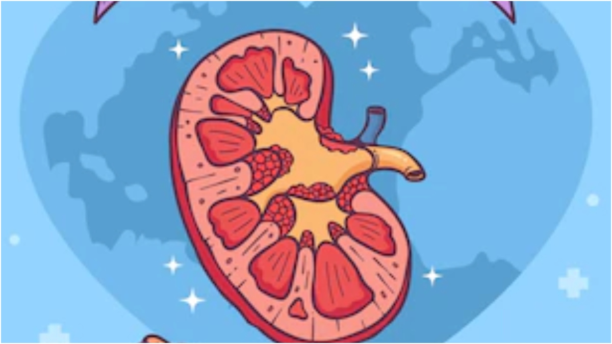 World Kidney Day 2022: Here's how you can protect your kidneys from being damaged