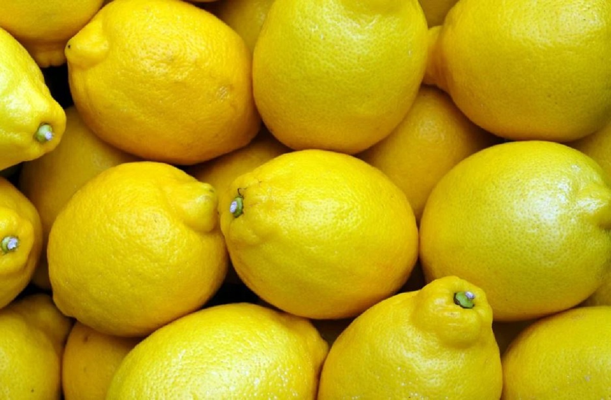 Guard your lemons! Amid soaring prices, 60 kg lemons, other high-priced veggies stolen from UP godown