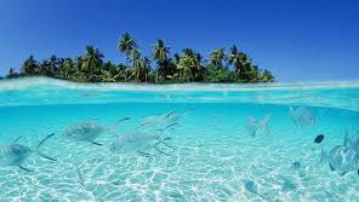 Lakshadweep Location Travel Map – Maps Of Lakshadweep Islands