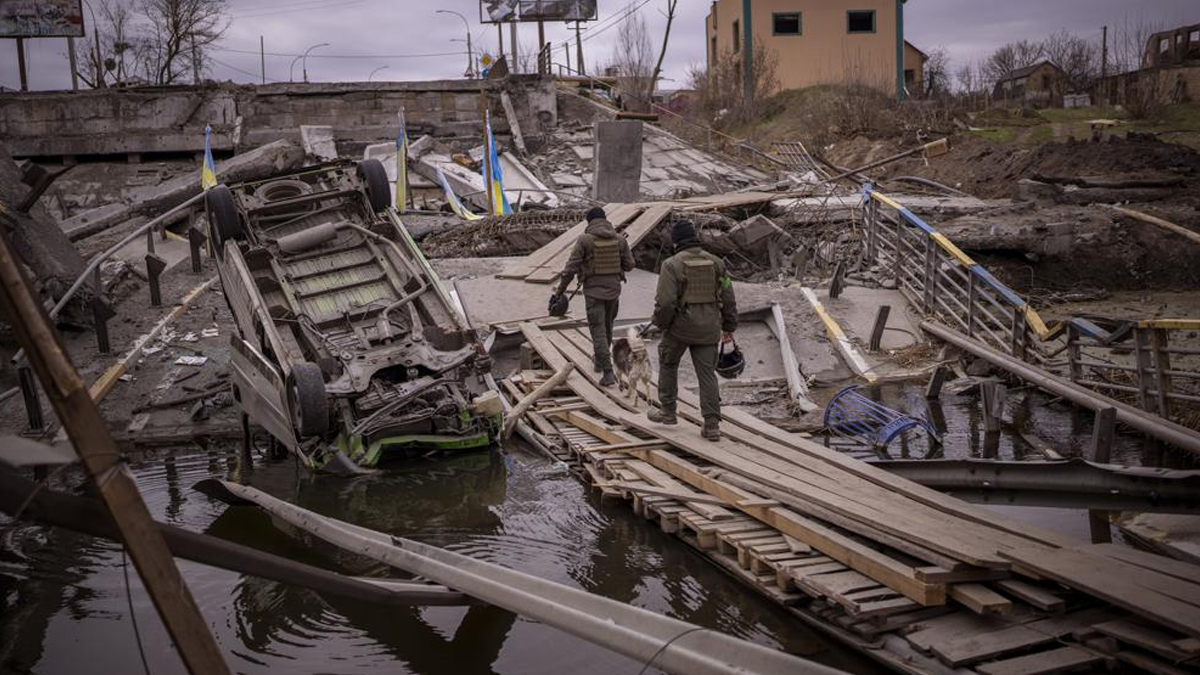 Ukrainian Port City Mariupol 'liberated': Vladimir Putin Hails 'success ...