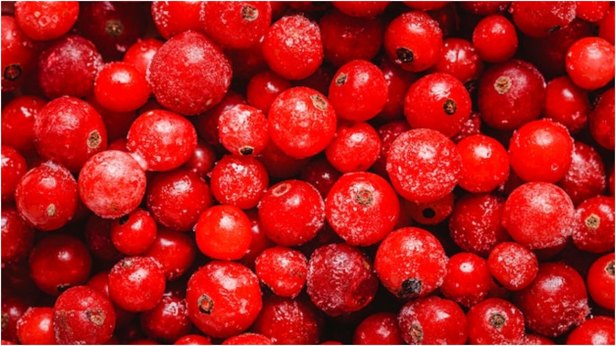 Eating cranberries may help improve memory, ward off dementia