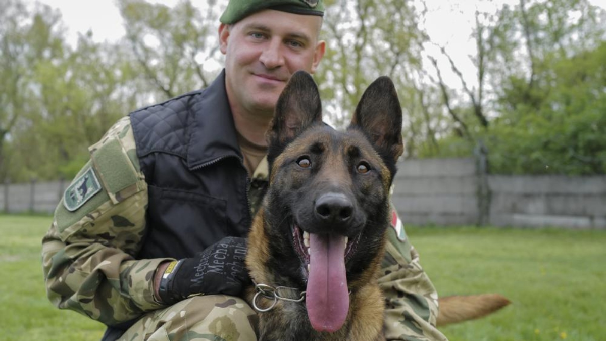 Dog rescued from abusive owners deployed in counterterrorism operations