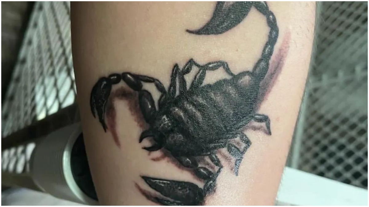 Scorpion Tattoo Zodiac Astrological sign All kinds of scorpions  monochrome insects png  PNGEgg