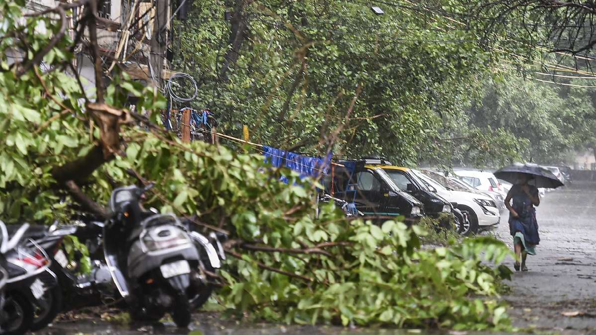 Delhi rains after-effects: 2 dead, several flights diverted, trees uprooted as hails lash capital