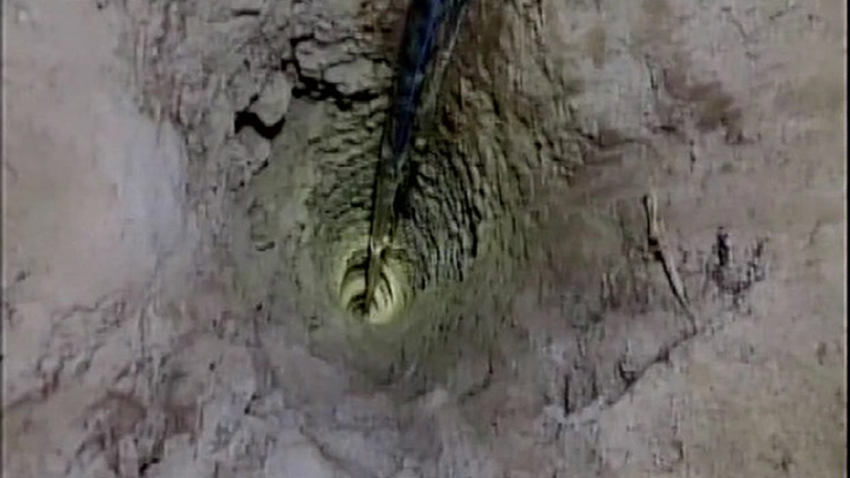 Gujarat: 2-year-old boy falls into borewell in Surendranagar; rescued