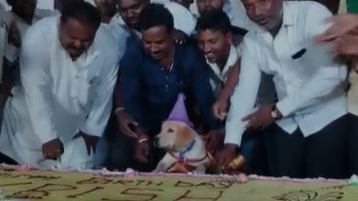 Shivappa Yellappa Maradi celebrating his dog Krish's birthday Shivappa Yellappa Maradi celebrating his dog Krish's birthday
