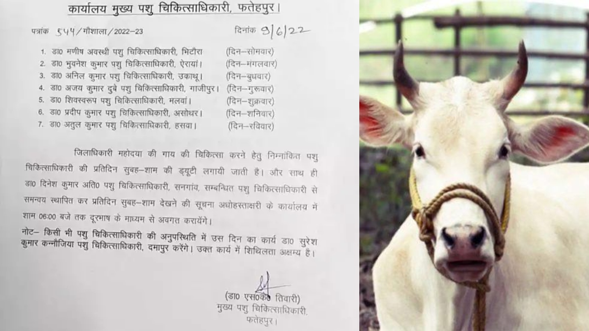 UP: 7 government doctors in 'VIP care' for DM's sick cow; officer calls it &lsquo;conspiracy&rsquo;