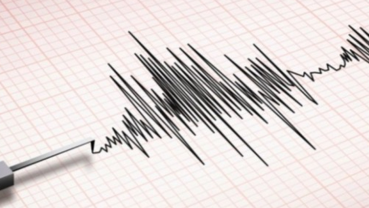 Tremors felt in Karnataka, last for nearly 10 seconds; houses, roads develop cracks