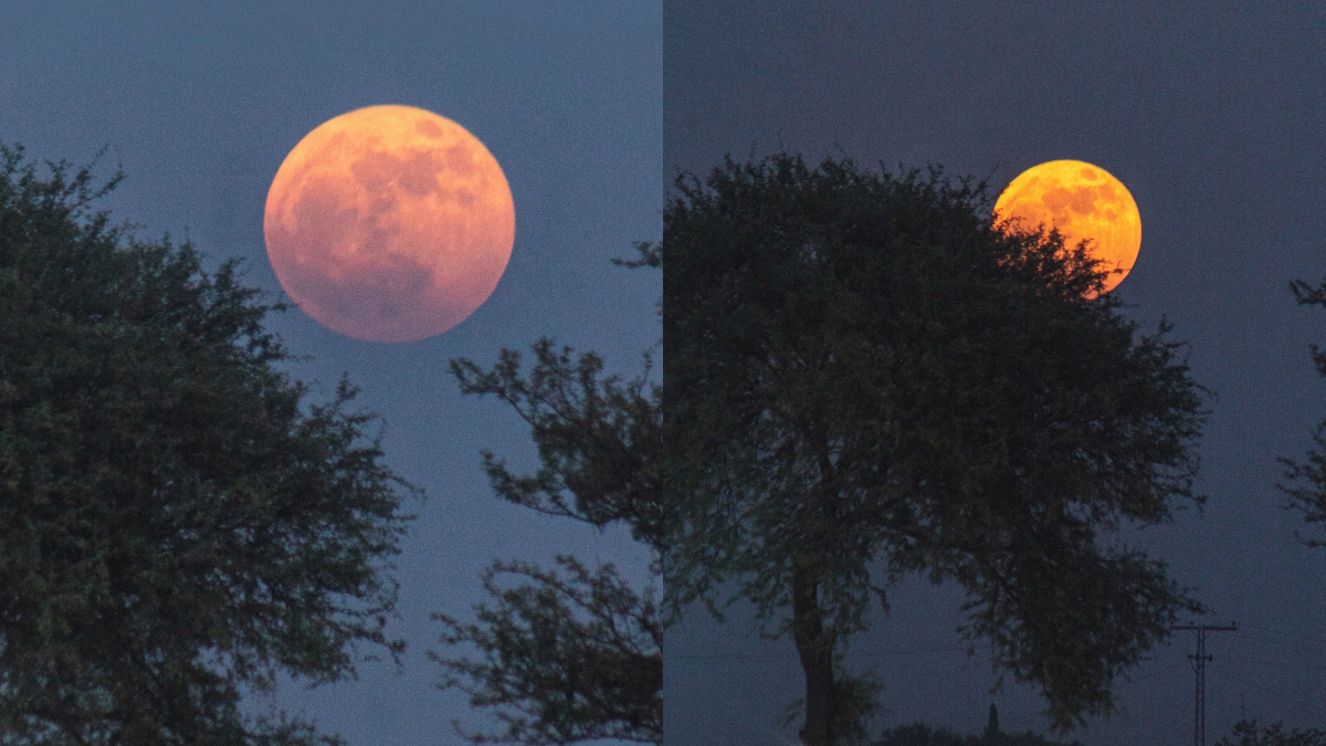 Strawberry Supermoon 2022 FIRST photos of the stunning moon that lit