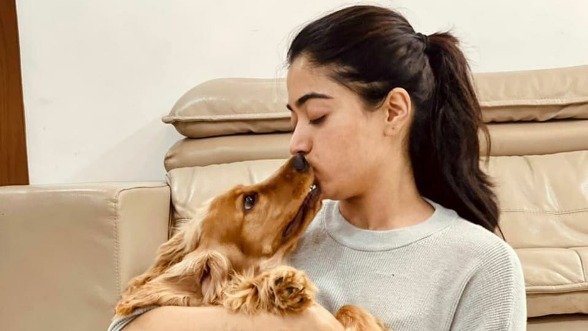 Rashmika Mandanna demands flight tickets for her dog from producers? Actress has THIS to say