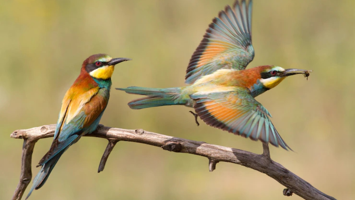 Vastu Shastra Happiness &e peace will increase by placing pictures of