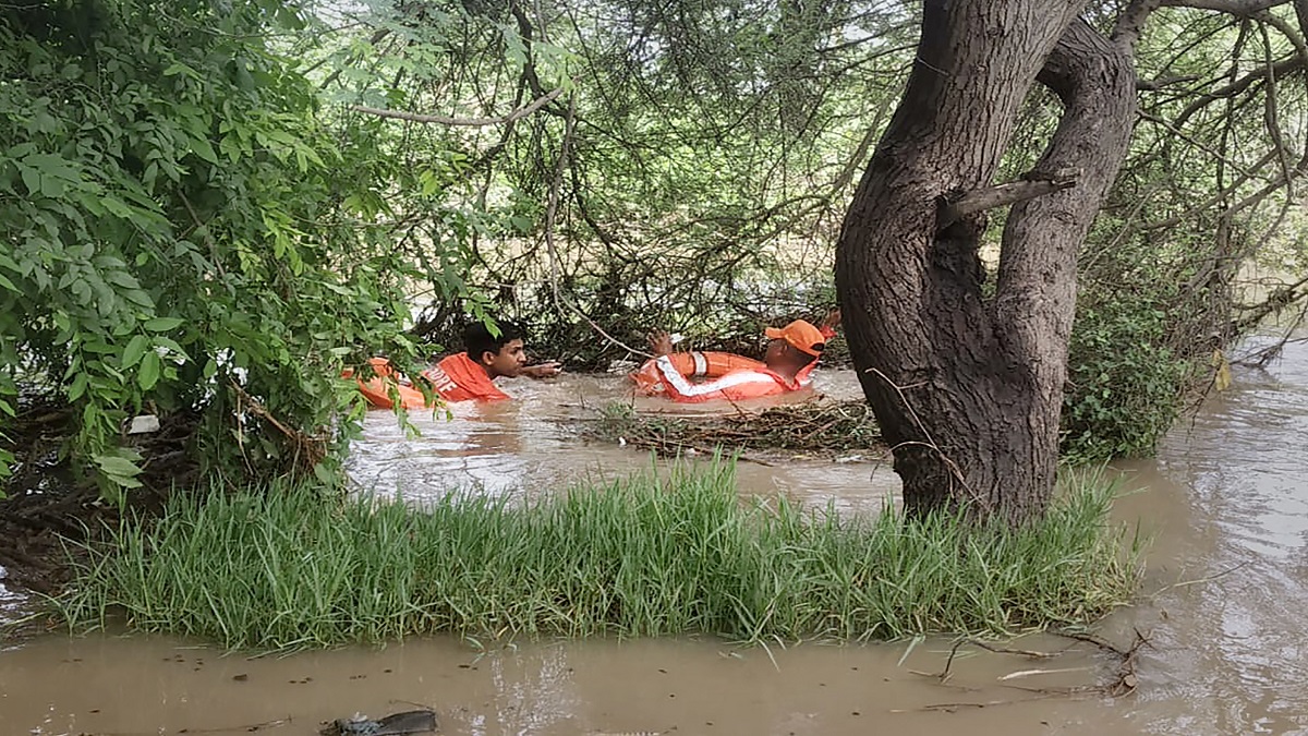 Parts of Gujarat get heavy rains; 380 shifted to safer places in Anand district, NDRF deployed