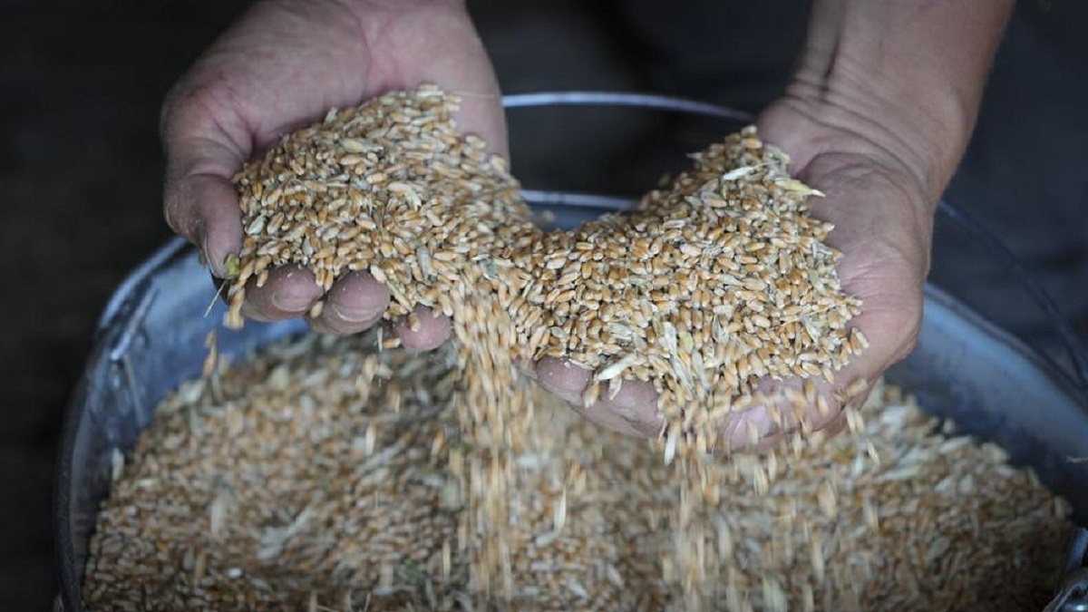 World food prices decline amid relief after Ukraine grain exports resume: FAO