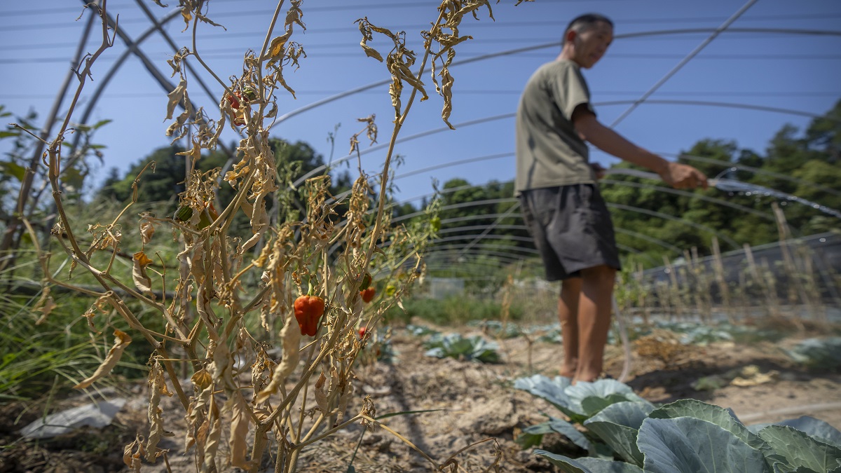 China extends power rationing for factories in drought