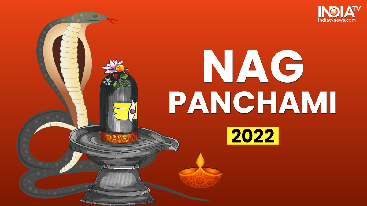 Happy Nag Panchami Concept Template Banner Stock Vector