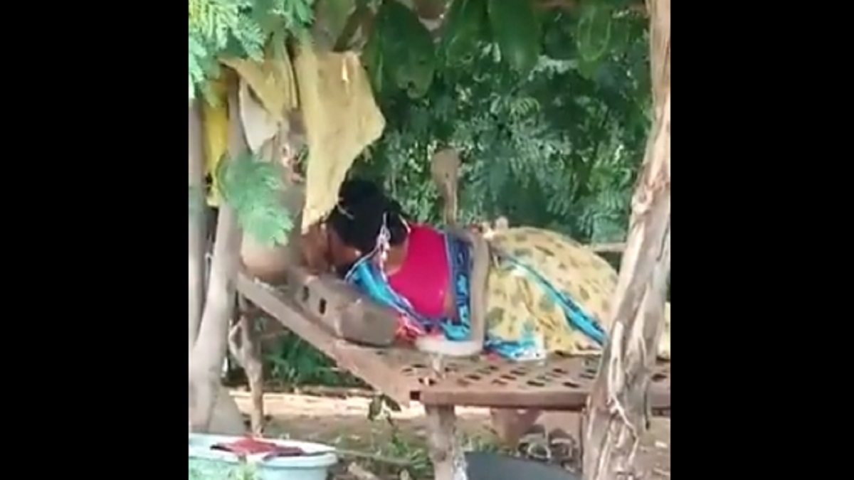 On video, snake climbs on top of woman sleeping in field; netizens amazed |  India News â€“ India TV