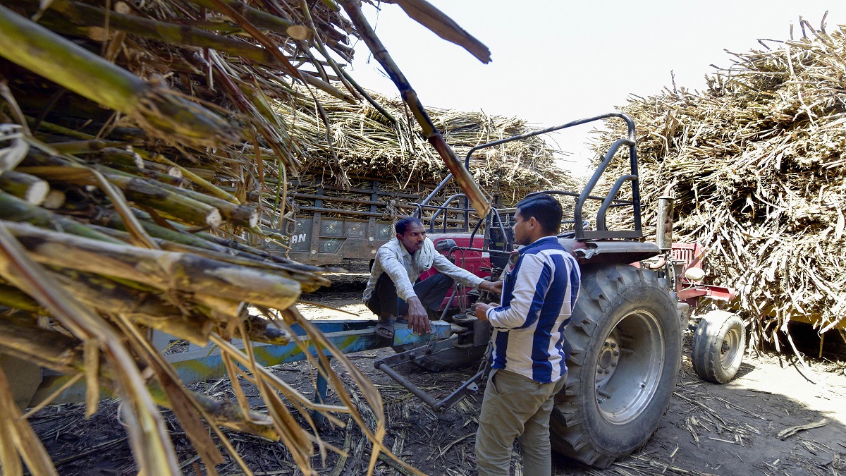 Central Government increases FRP of sugarcane to Rs 305 per quintal for FY 2022–2023 season