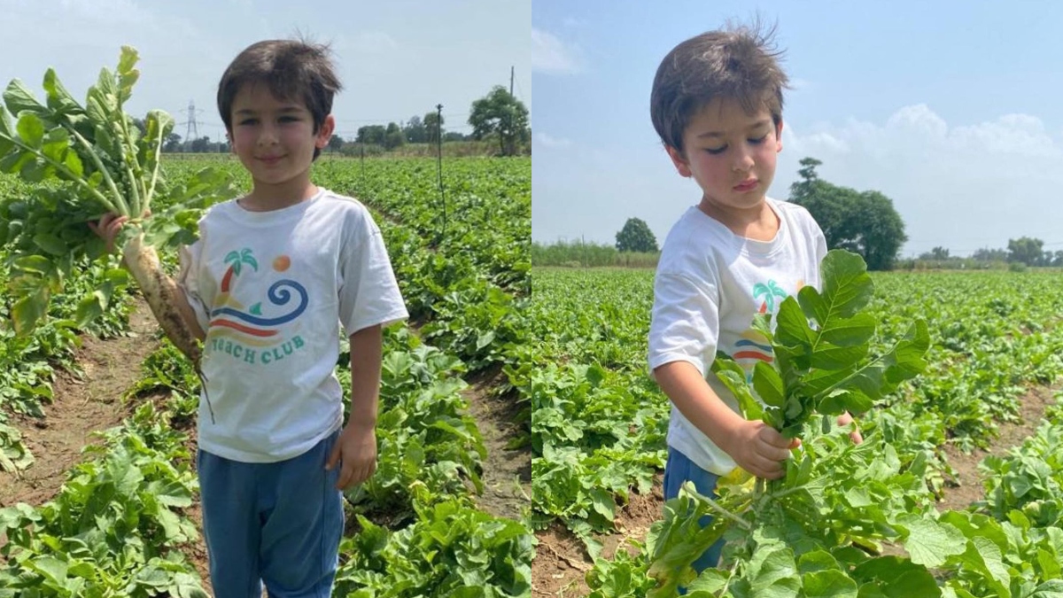 Taimur Ali Khan channels his inner farmer, mom Kareena Kapoor says ‘Garam mooli ke parathe for lunch’