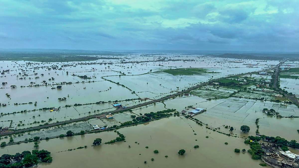 MP weather update: Tehsildar Narendra Singh Thakur swept away in flooded river in Sehore | KNOW DETAILS