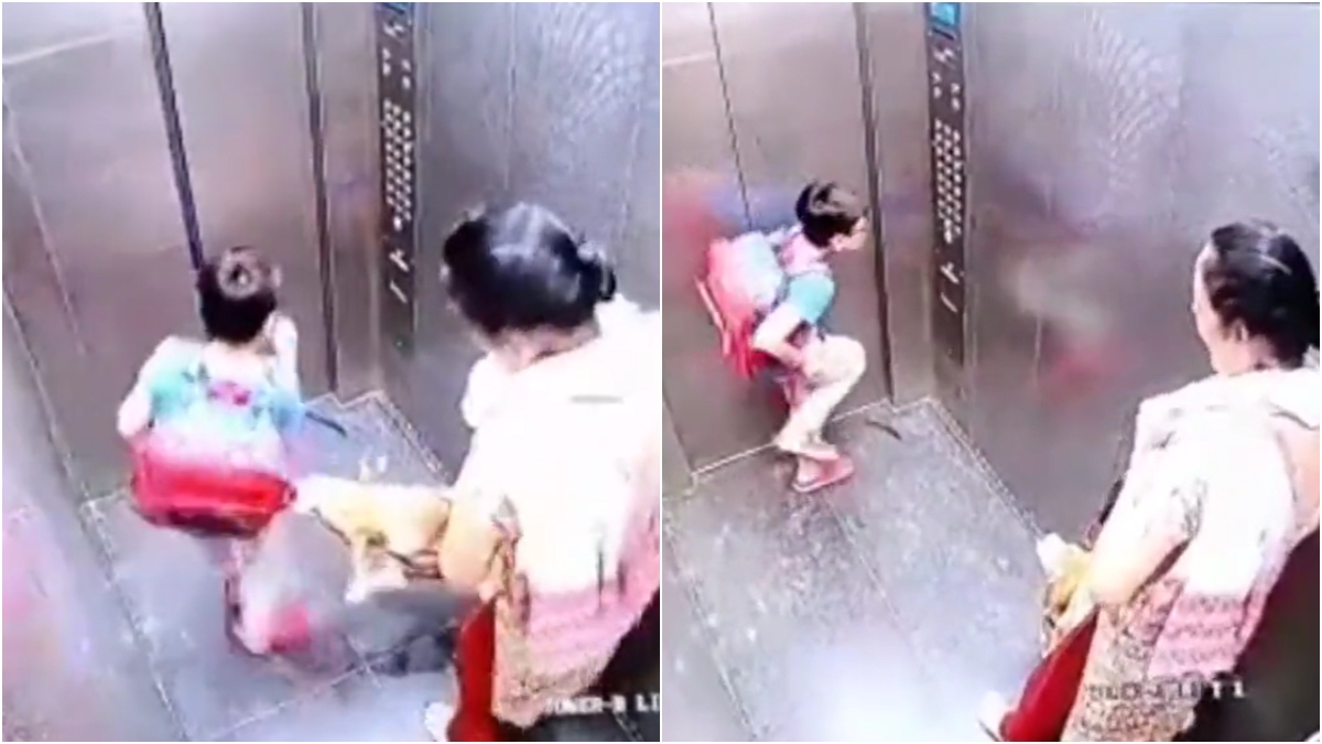 Ghaziabad: Pet dog bites kid in residential society elevator, owner remains unfazed | VIDEO