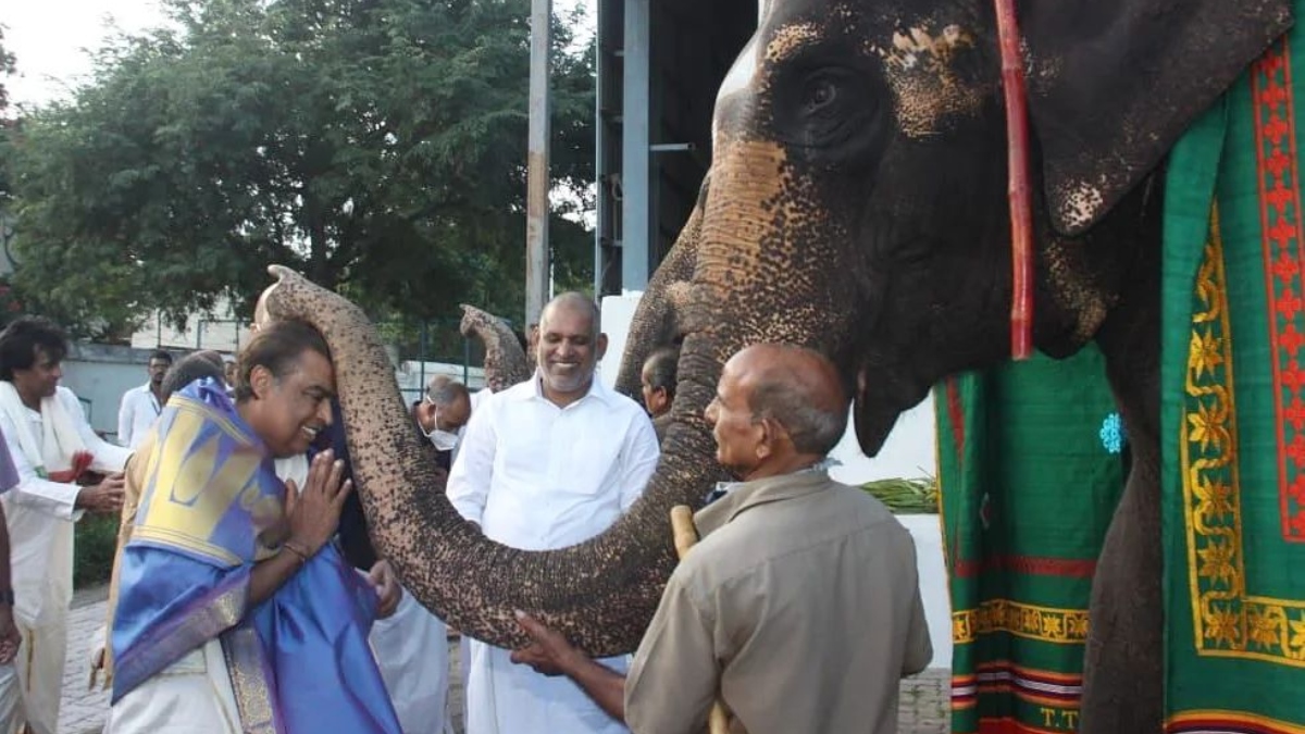Mukesh Ambani blessed by elephant in viral pics from Tirupati temple, know  its significance | Mukesh News – India TV