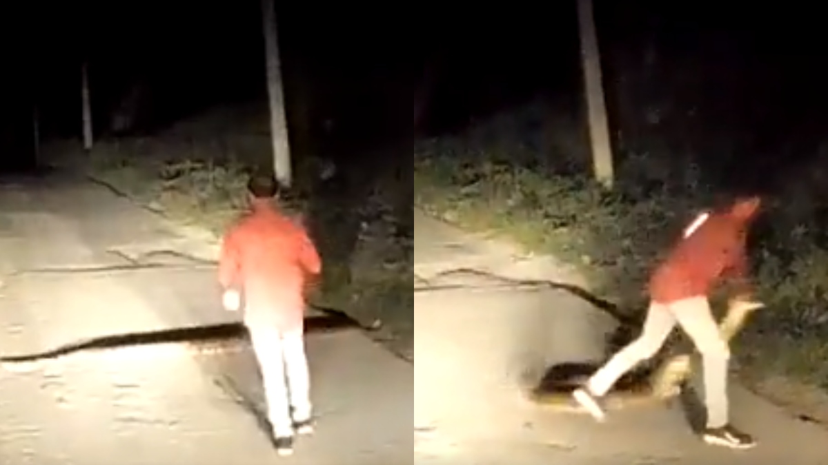 Bizarre! Man moves gigantic snake casually with bare hands, sparking Twitter debate