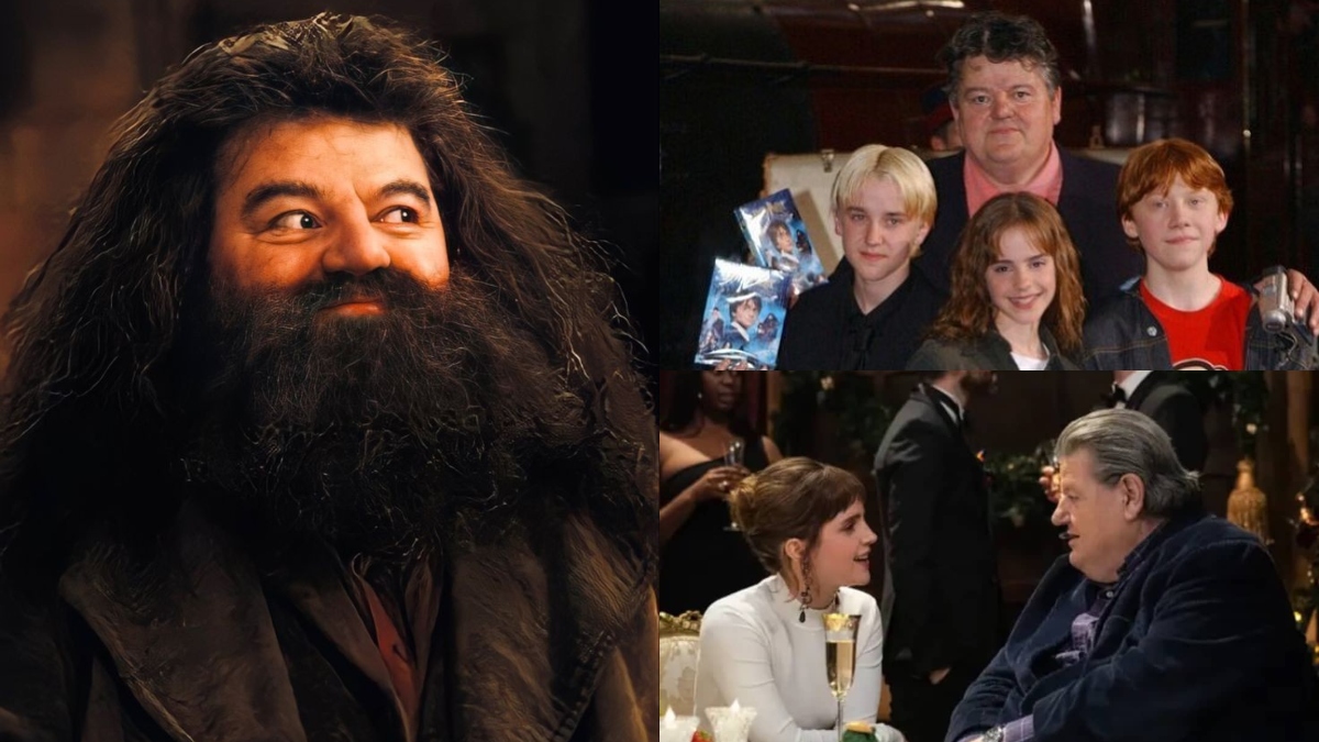 Case Study Harry Potters Hagrid