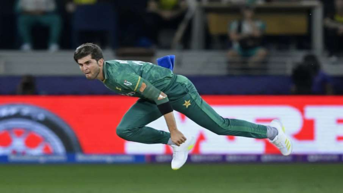 T20 World Cup 2022: Pakistan Cricket Board appoint personal physiotherapist for Shaheen Afridi, Fakhar Zaman