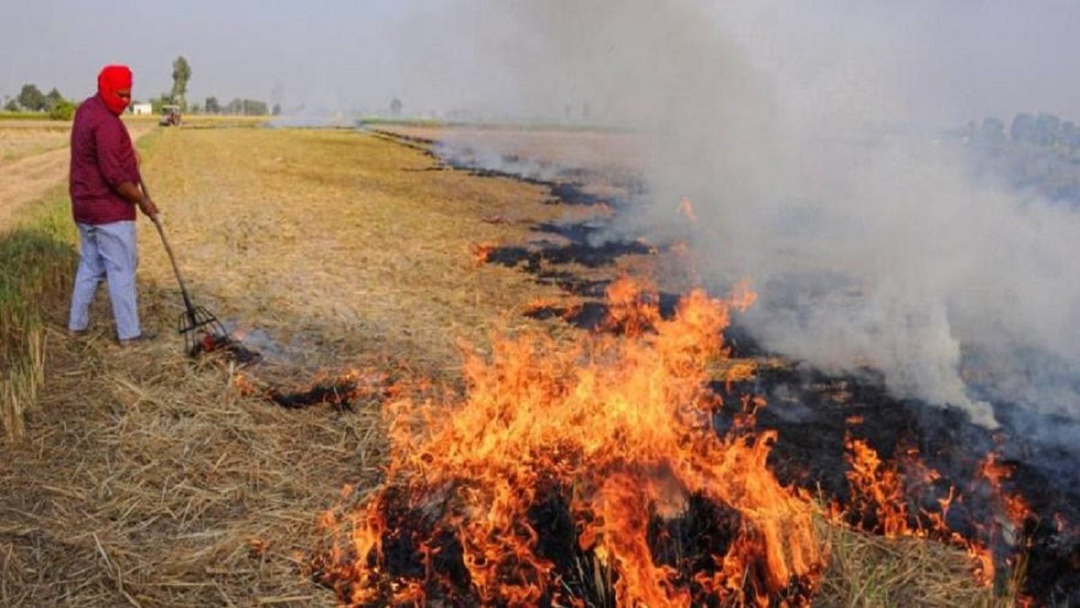 Gurugram Farmers involved in stubble burning to be fined Rs 2,500 per