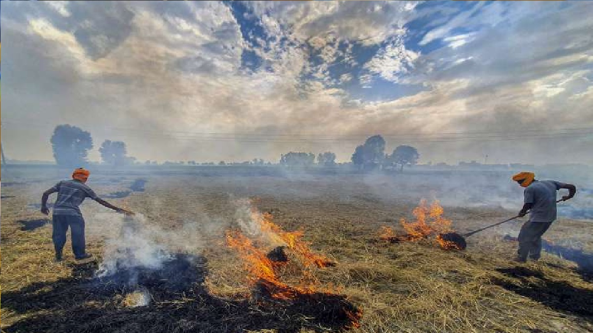 Rains delayed harvesting, expect clustering of stubble burning incidents: Experts - Vimarsana News