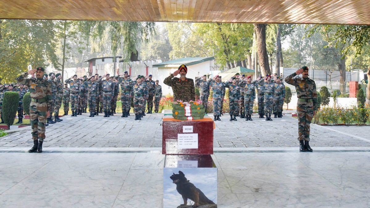 Indian Army pays homage to elite assault dog 'Zoom', who died fighting terrorists | VIDEO