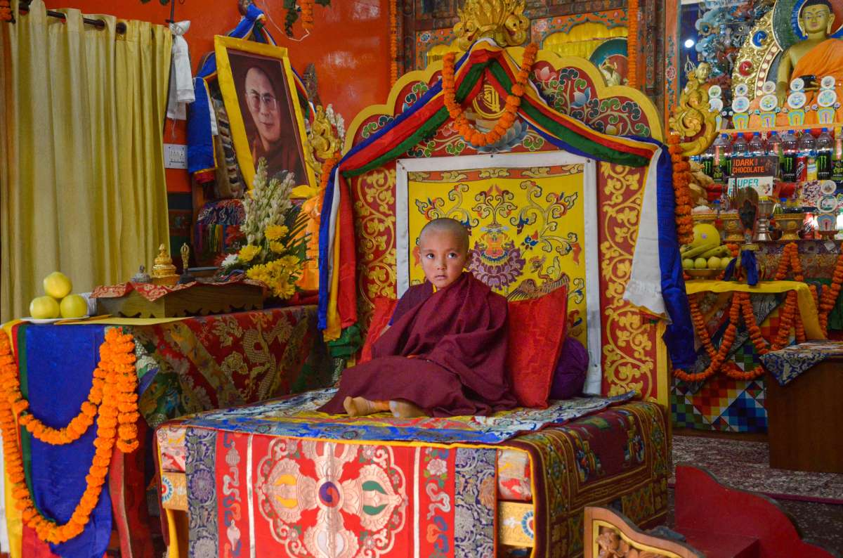 Himachal: 4-year-old boy identified as Rinpoche's reincarnation, made head of Nyingma sect