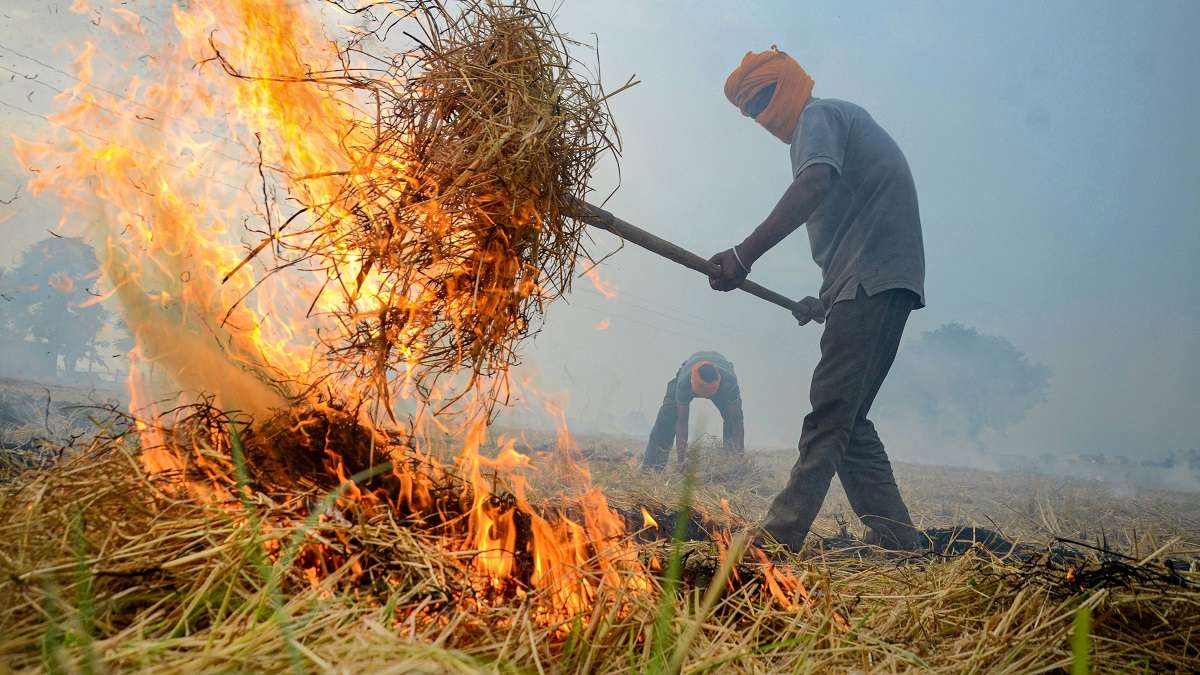 Punjab govt mandates use of 20 per cent straw as fuel for brick-kilns