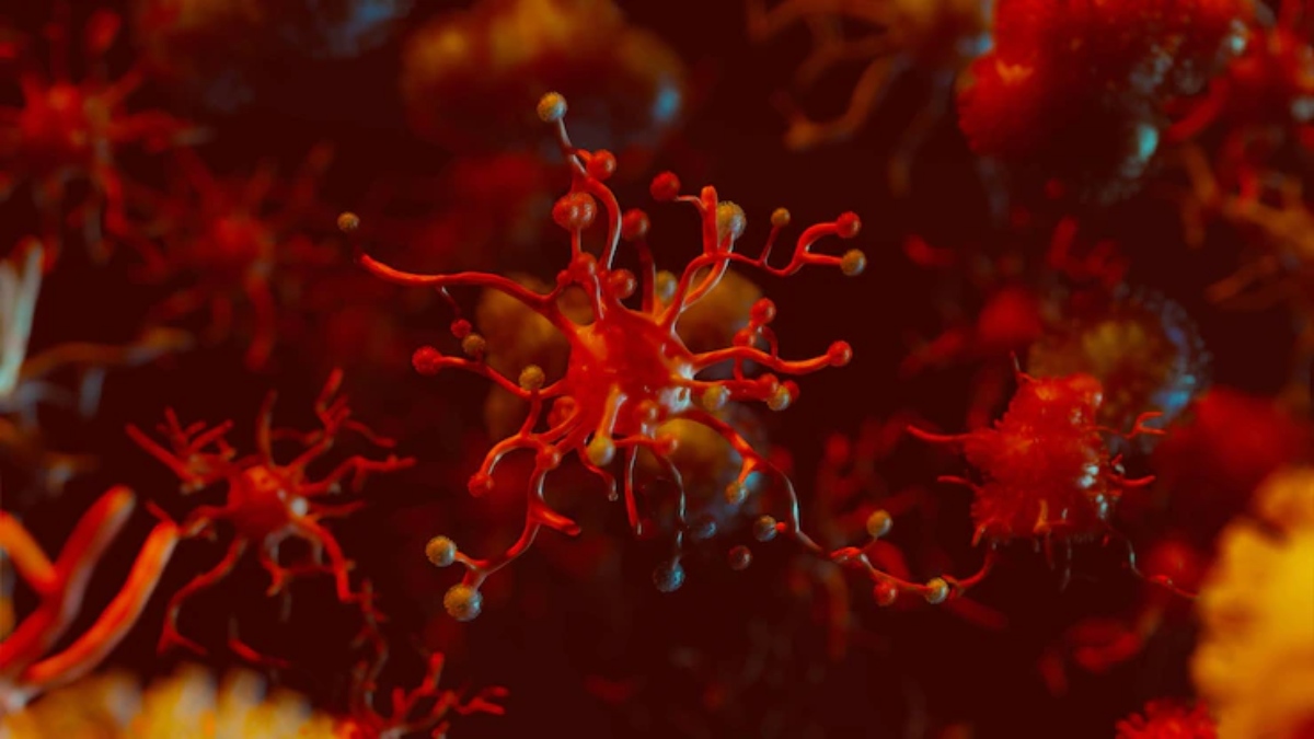 From chronic to aggressive, how blood cancer in some can progress as a disease