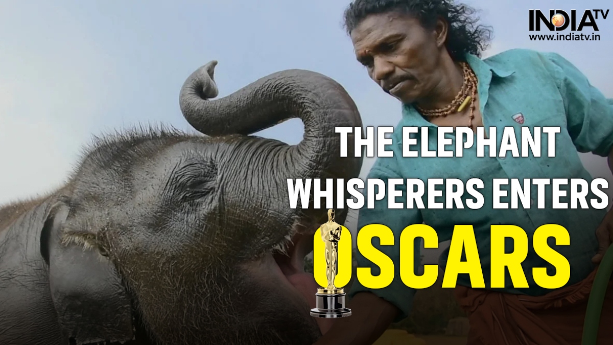 Oscars 2023 Nominations The Elephant Whisperers shortlisted in Best